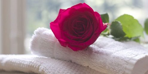 Rosa rossa appoggiata su asciugamano bianchi in una stanza di albergo o hotel