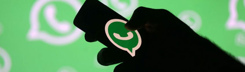 logo Whatsapp su uno schermo di smartphone