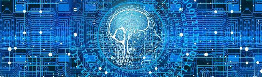Competenze digitali: profilo di testa umana con il cervello che traspare in mezzo a un reticolo di collegamenti digitali